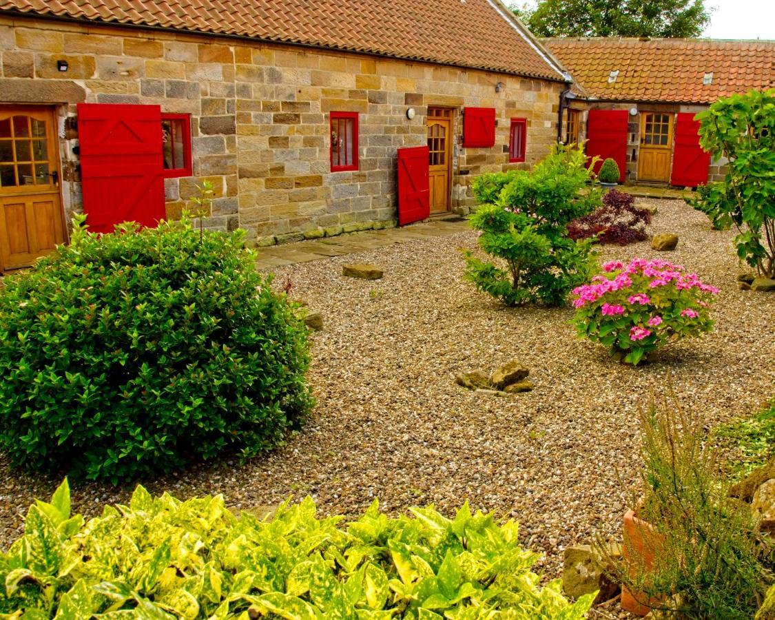 Rosecombe, Borrowby Farm Cottages Staithes Exterior photo